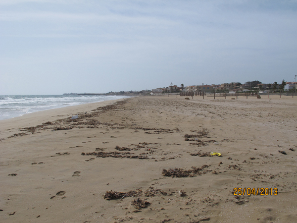  Spiaggia di San Lorenzo